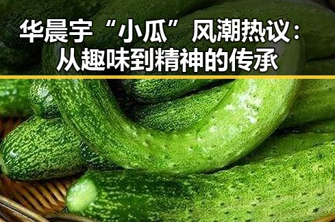 华晨宇“小瓜”风潮热议：从趣味到精神的传承