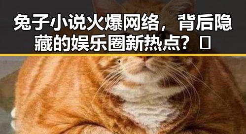兔子小说火爆网络，背后隐藏的娱乐圈新热点？🧐