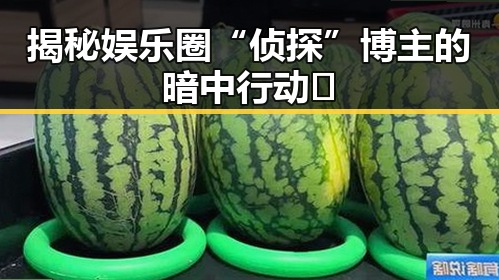 揭秘娱乐圈“侦探”博主的暗中行动🚨