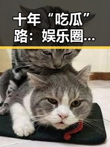 十年“吃瓜”路：娱乐圈的变迁与回忆