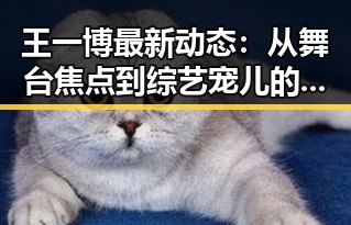 王一博最新动态：从舞台焦点到综艺宠儿的转变